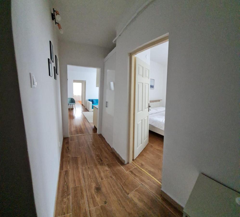 Dddd Apartament Cavnic Exterior photo